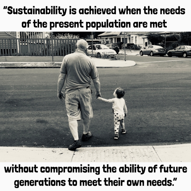 sustainability, conscious consumerism, future generations
